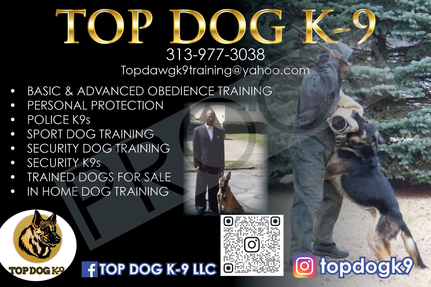 TOPDOG Postcards: 4x6" Postcards 16pt UV Gloss or Matte Print Only (Copy)